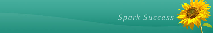 Spark Success